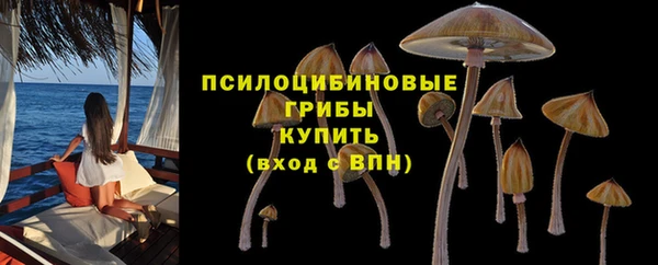 ECSTASY Абдулино
