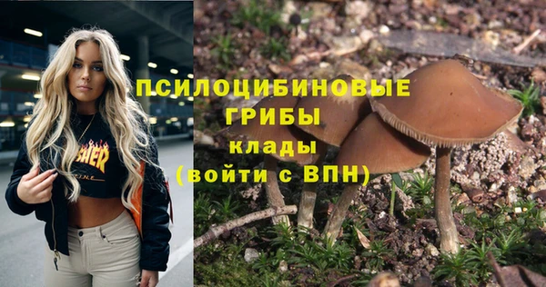 ГАЛЛЮЦИНОГЕННЫЕ ГРИБЫ Гусь-Хрустальный
