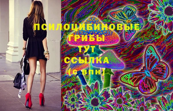 мет Абаза