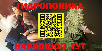 эйфоретик Краснодар