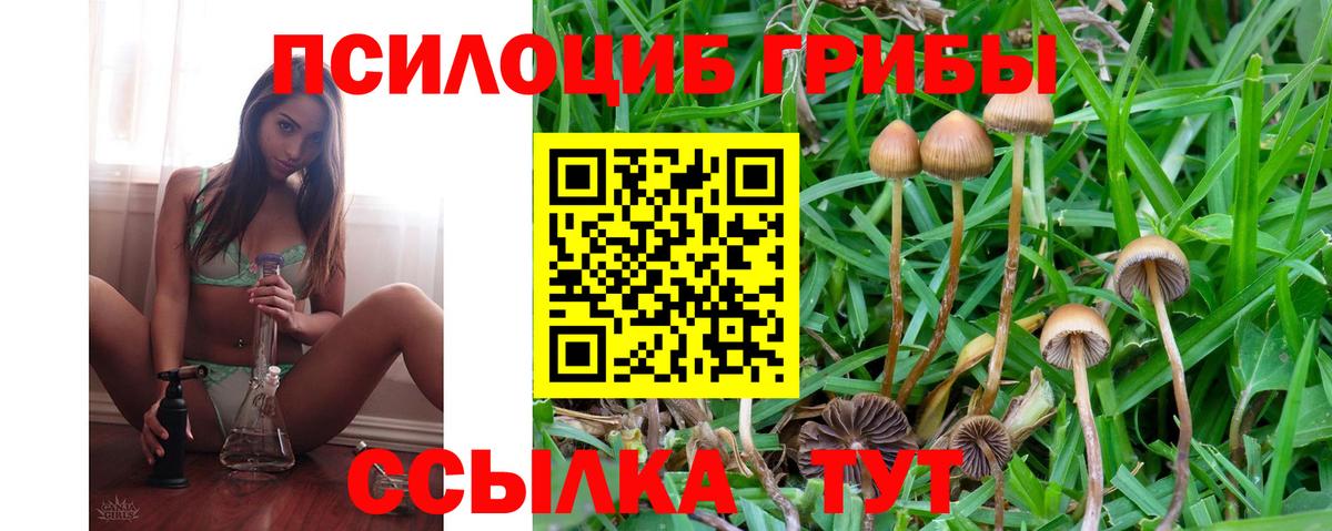 Галлюциногенные грибы Magic Shrooms Каменка