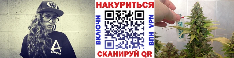 Каннабис OG Kush Каменка