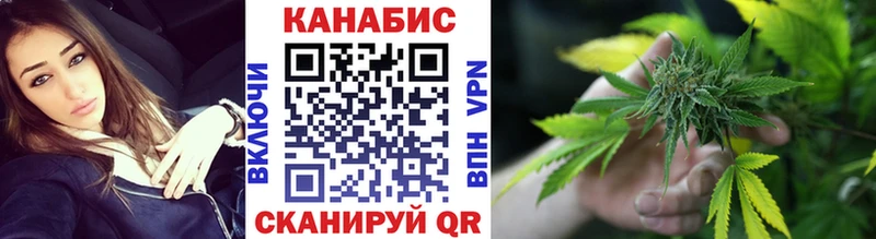Канабис сатива Каменка